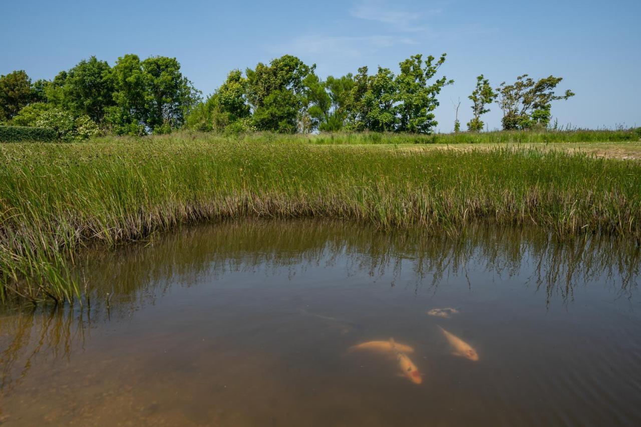 B&B Johanneshoeve - de mooiste plek op Texel Den Hoorn  Buitenkant foto